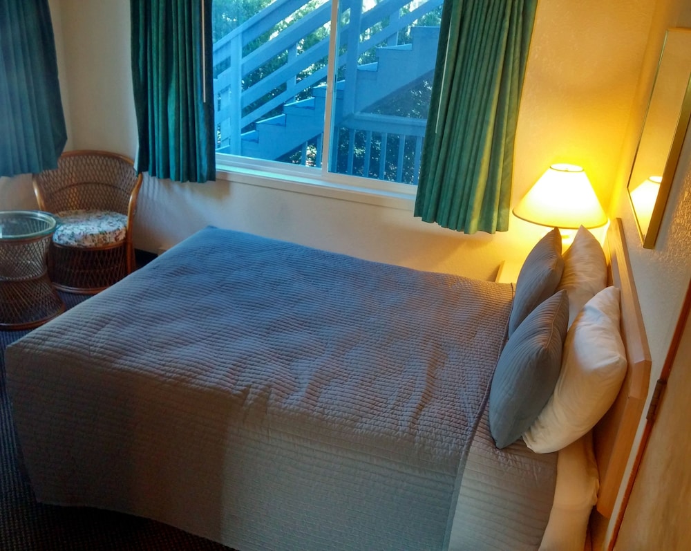 Surfside Resort - photo 11