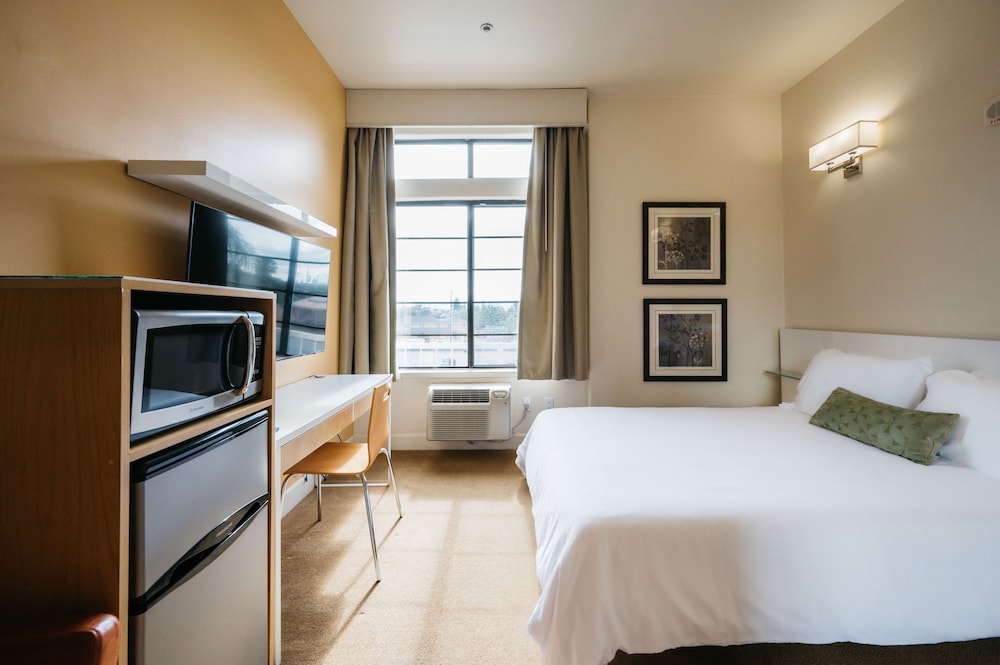 Studios Inn - photo 16