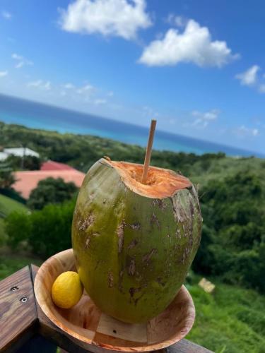 Le Petit Havre Appt Breathtaking sea view — 4-Star Luxury Hotel in Sainte-Luce, Martinique