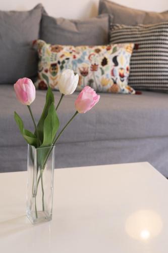 Lazaros Suite Downtown