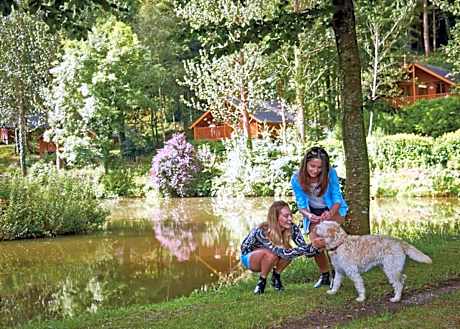 Bulworthy Forest Lodges - last minute hotel in Bideford