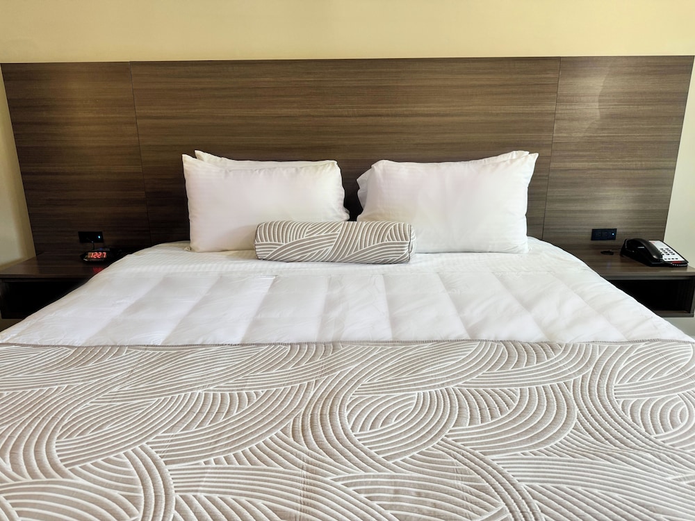 The Dixie Hollywood - photo 3