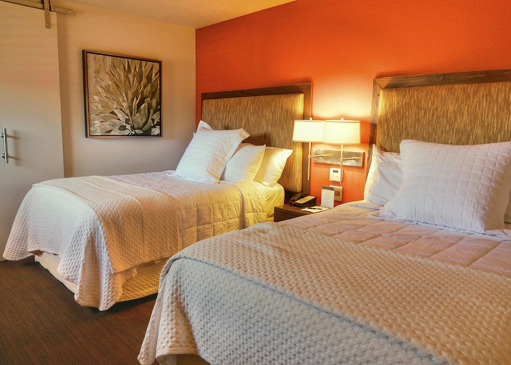 Red Mountain Resort - photo 9