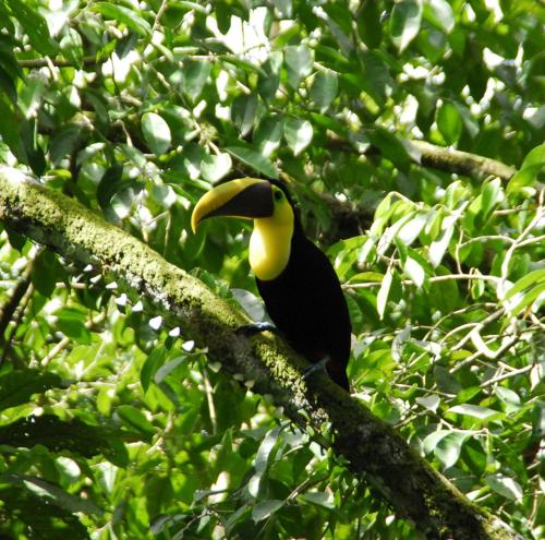 Vista Pacifica Breathtaking Views and Peaceful Atmosphere Amazing Views & WiFi — 4-Star Luxury Hotel in San Antonio, Costa Rica