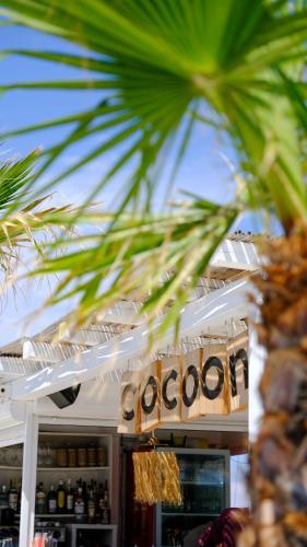 Cocoon Hotel Beach bar — Sarti — photo 3