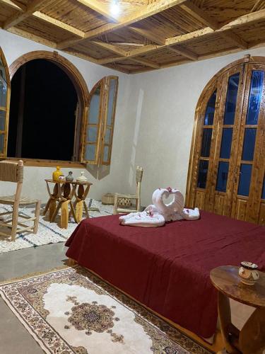 Dar Rita — Taghazout — photo 3