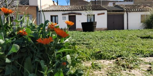 La mimosa - last minute hotel in Carcastillo