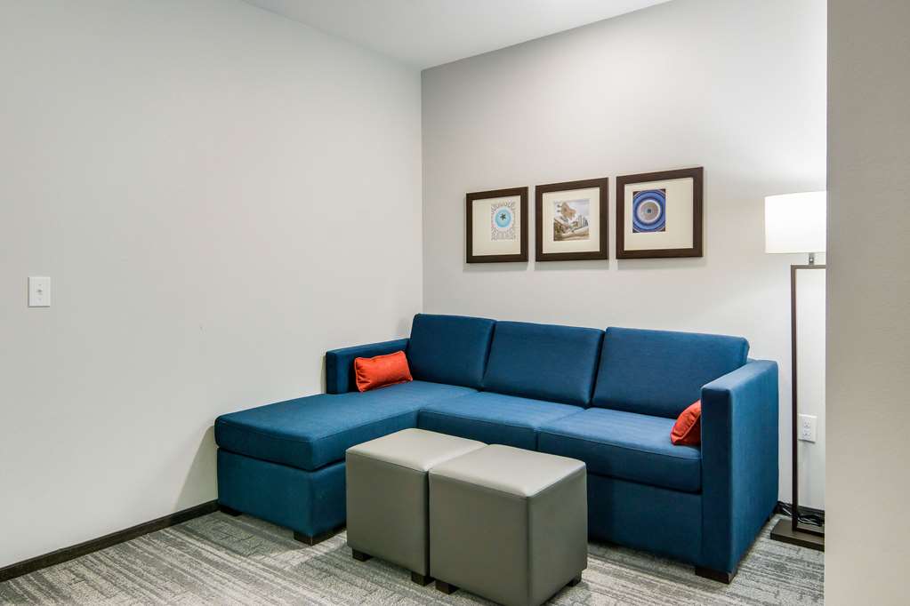 Comfort Suites DeSoto Dallas South - photo 20