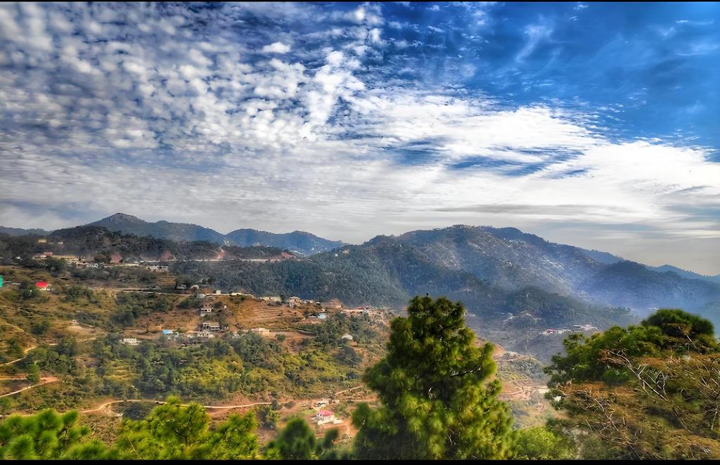 Kasauli Greens Homestay — Dharampur — photo 4