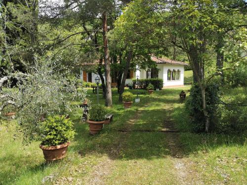 Immersa Nel Verde E Nel Silenzio — hotel in Rufina
