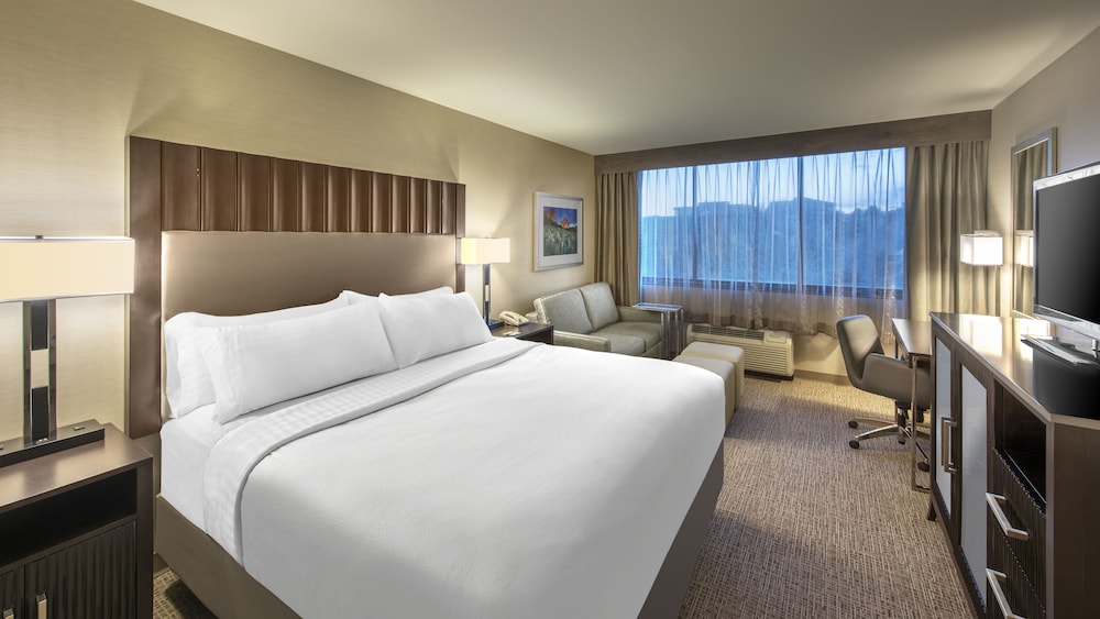 Holiday Inn Denver Lakewood by IHG - photo 15