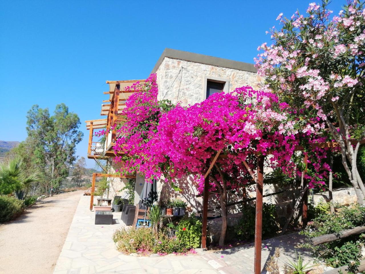 Eco Farm Boutique Hotel — Turgutreis