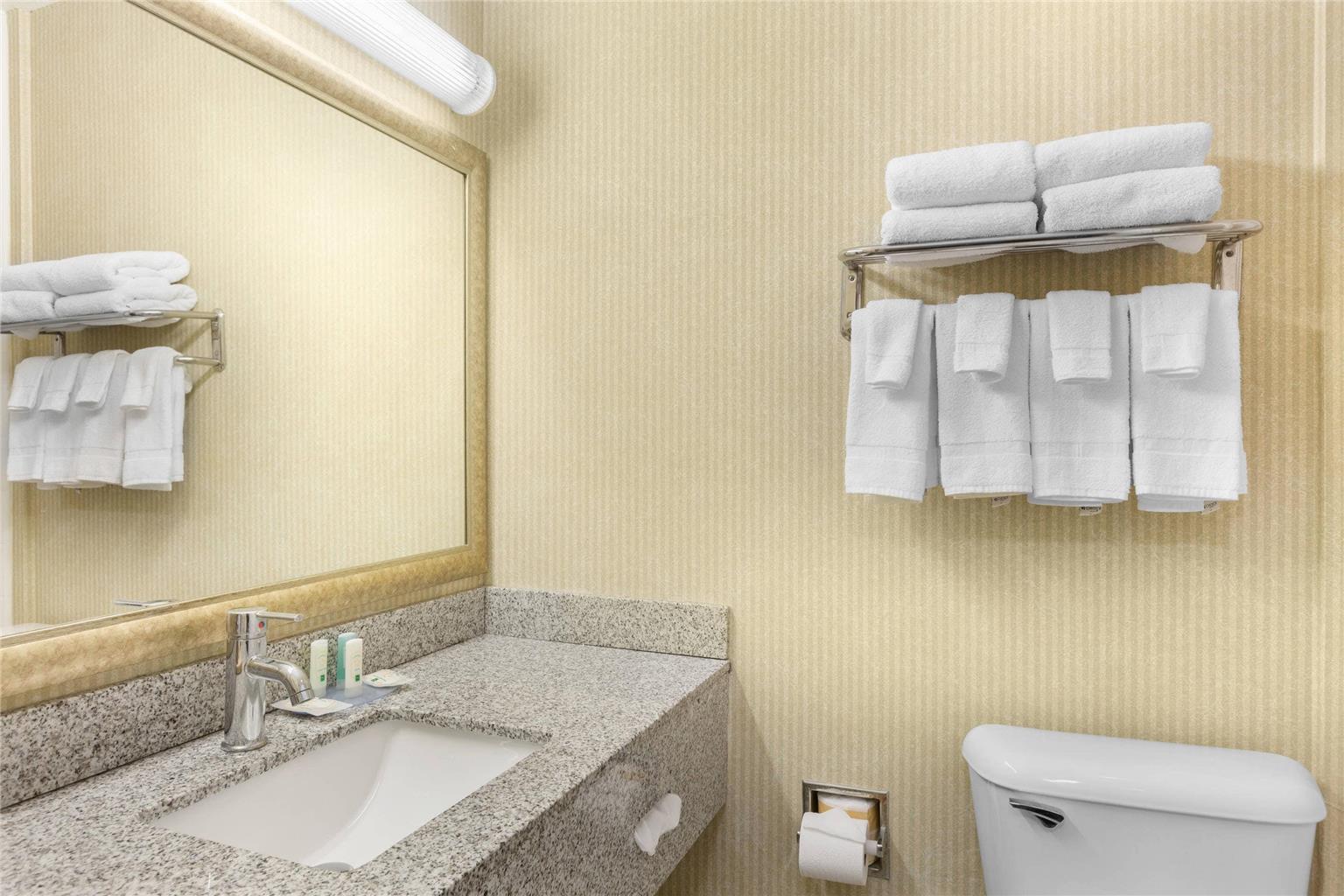 Quality Inn & Suites Oceanside near Camp Pendleton - photo 18