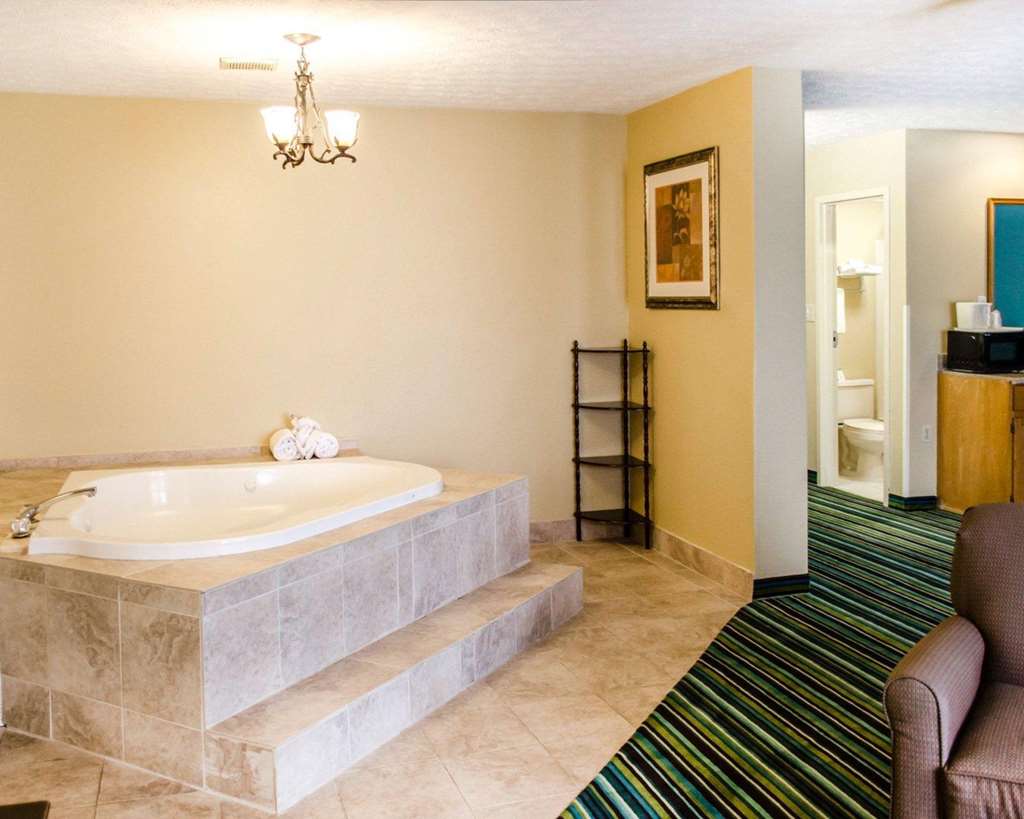 Quality Inn & Suites Medina Akron West - photo 21