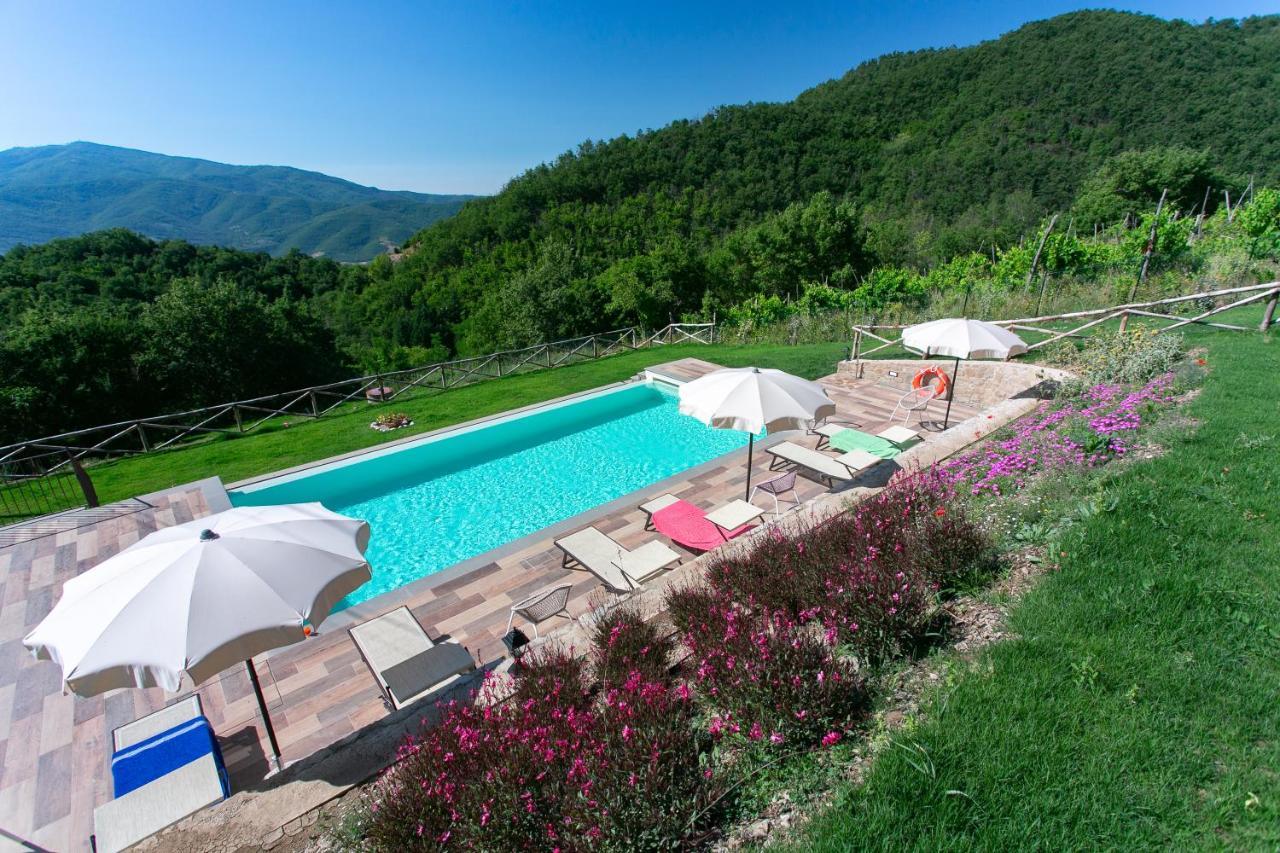 Agriturismo Borgo Dante — 4-Star Luxury Hotel in Castiglion Fiorentino, Italy