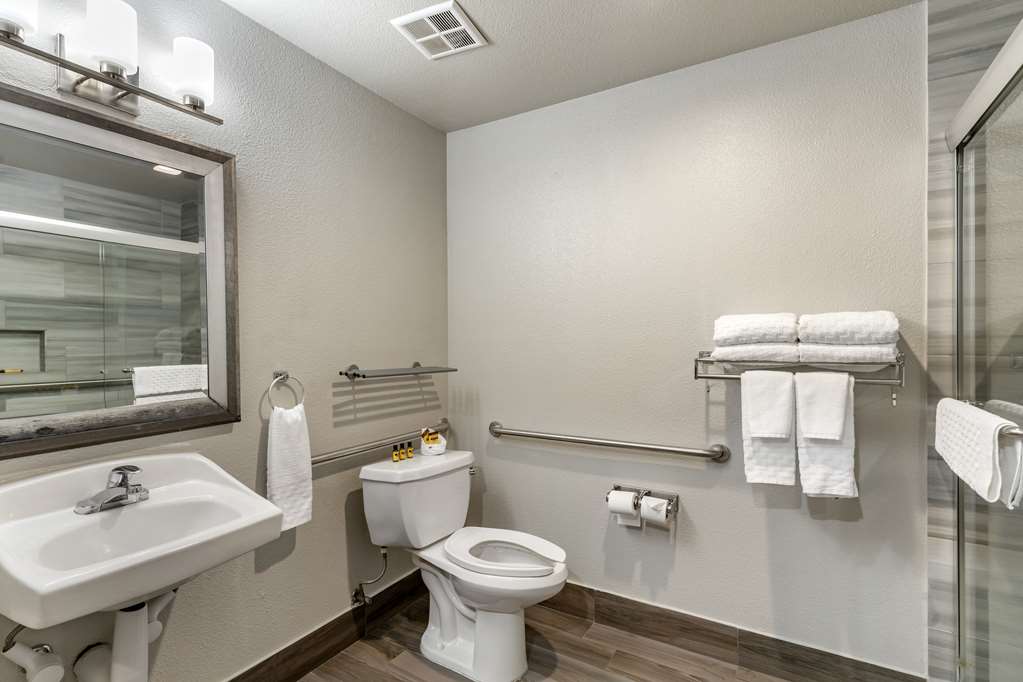 Best Western Plus Vineyard Inn - photo 50