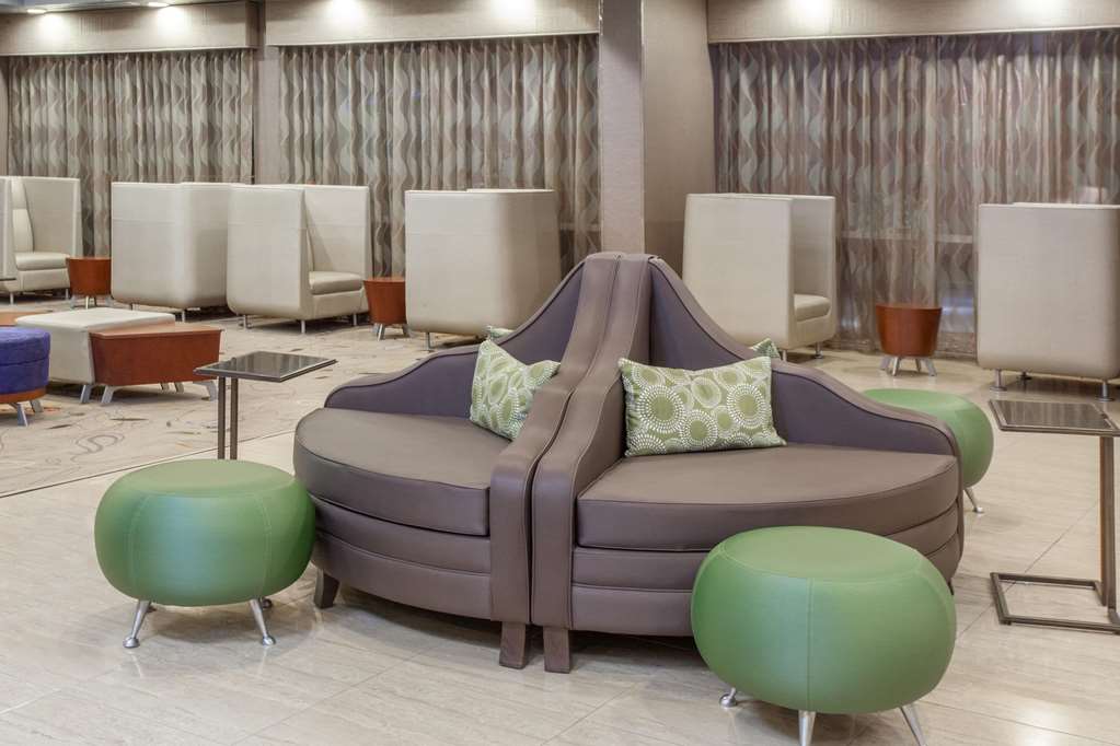 Wyndham Garden Elk Grove Village OHare - photo 4