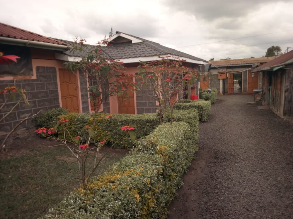 Honi Resort in Naro Moru, Kenya