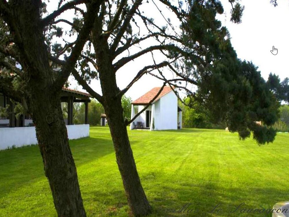 Hôtel Mas le Sauvageon in Saintes-Maries-De-La-Mer, France