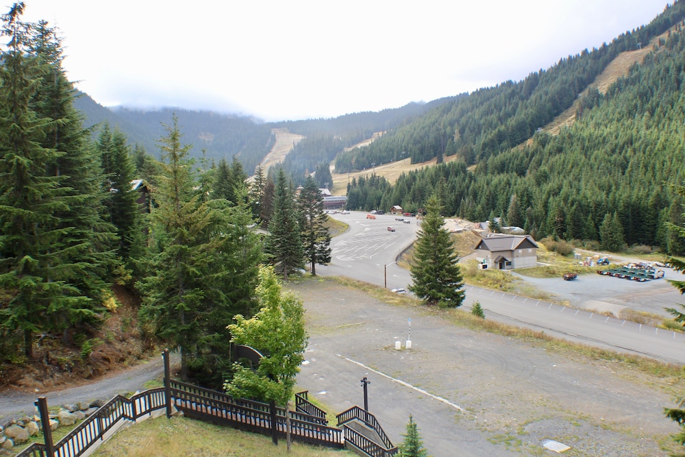 Crystal Chalets Condominiums at Crystal Mountain Ski Resort - photo 182