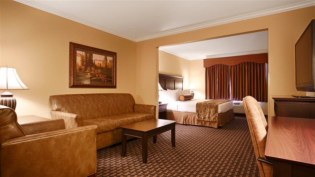 Best Western Plus Southpark Inn & Suites - photo 12