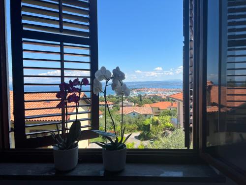 Villa Maris Izola — 4-Star Luxury Hotel in Izola, Slovenia