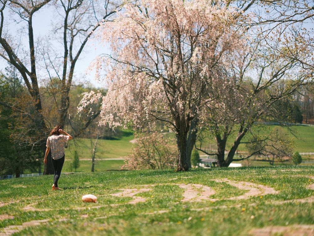 The Horse Shoe Farm - photo 57