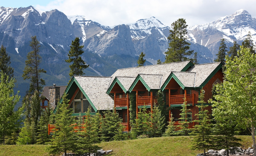 A Bear and Bison Inn in Canmore, Canada
