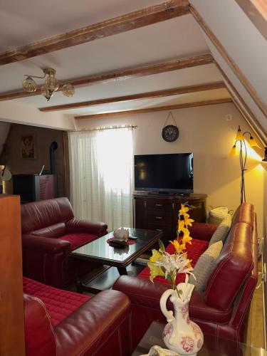 Vikendica Pine - carbon neutral hotel in Zabljak