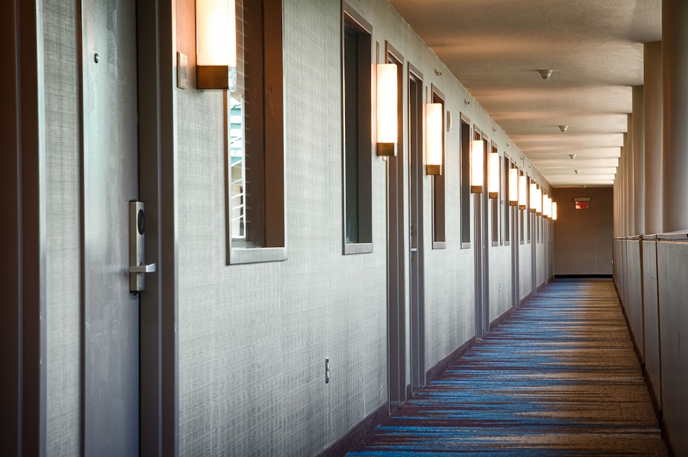 Embassy Suites by Hilton Atlanta at Centennial Olympic Park - photo 62