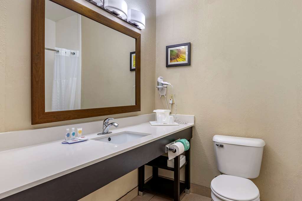 Comfort Inn Oklahoma City South I 240 - photo 13