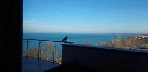 GalériusPrémium8 — Siofok — photo 3