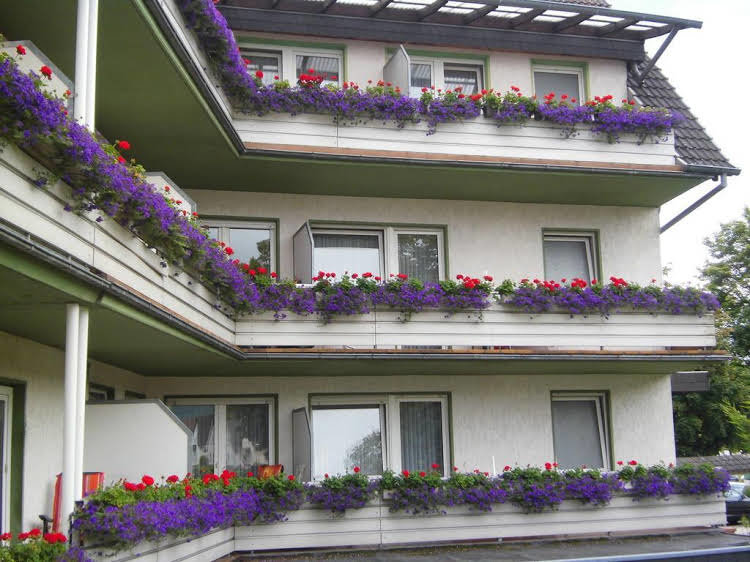 Hotel Engelke am Schlo — hotel in Bad Pyrmont