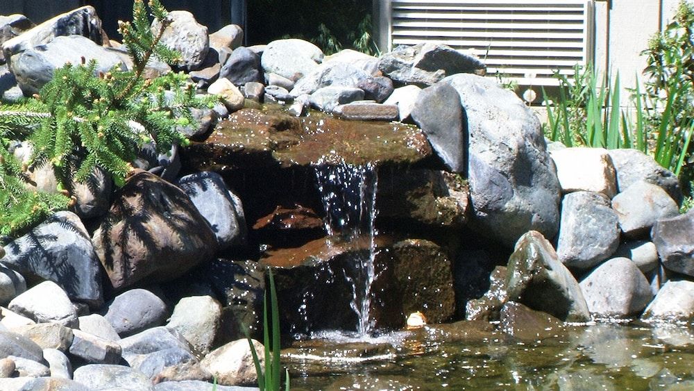 Wilderness Inn - photo 8