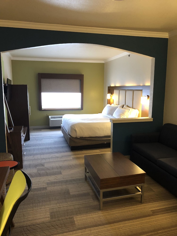 Holiday Inn Express Hotel & Suites Greenville by IHG - photo 8