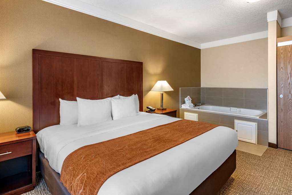 Comfort Suites Linn County - photo 27