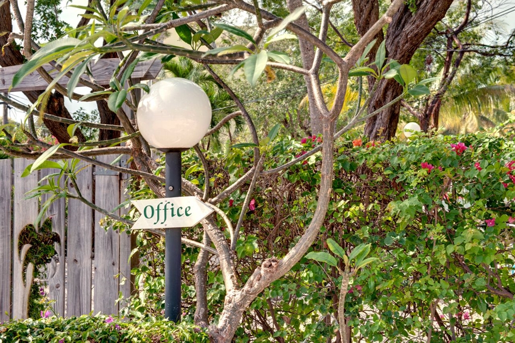 Coconut Palm Inn - photo 44