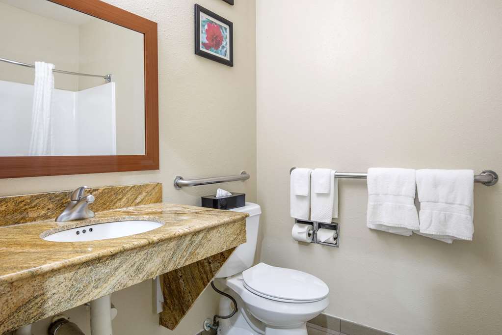 Comfort Inn & Suites Temple Medical Center - photo 19