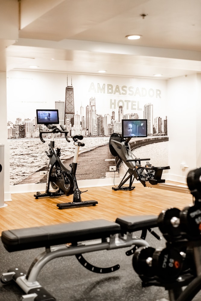 The Chicago Hotel Collection Ambassador Gold Coast - photo 43