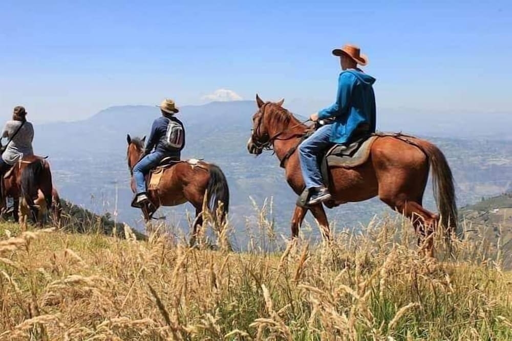 El Cedro Soñado in Banos, Ecuador