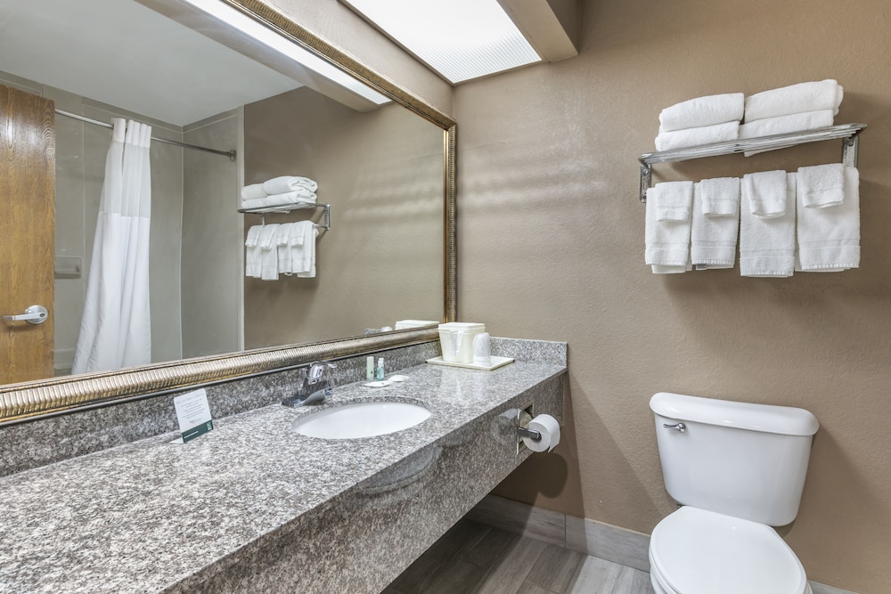 Quality Inn Rogersville - photo 12