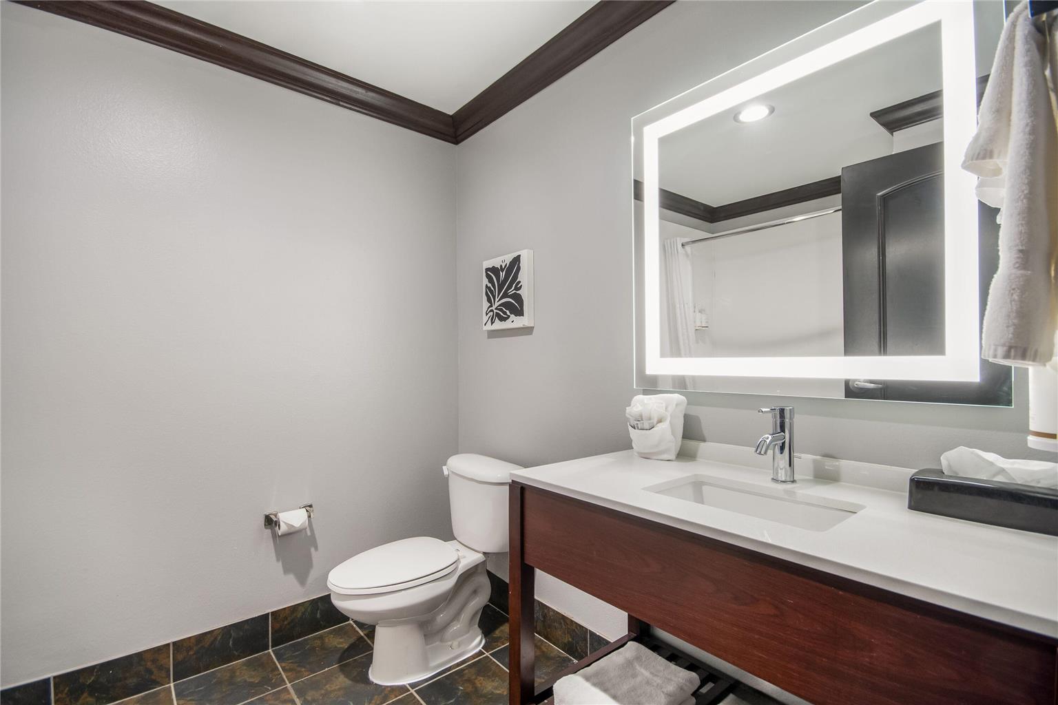 Hawthorn Suites by Wyndham Lubbock - photo 24