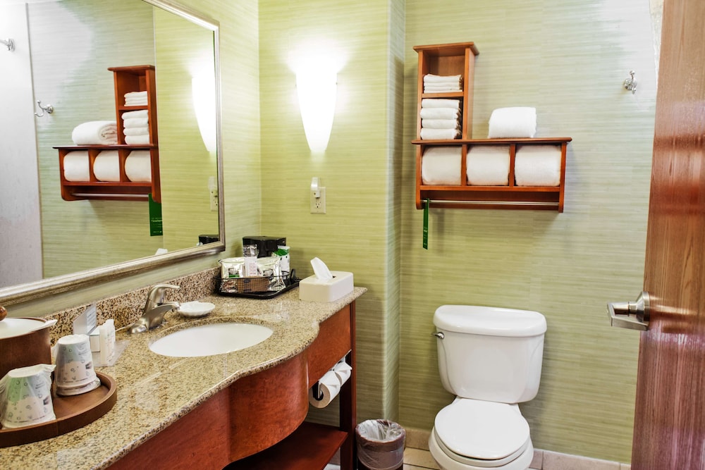Hampton Inn & Suites Harlingen - photo 8