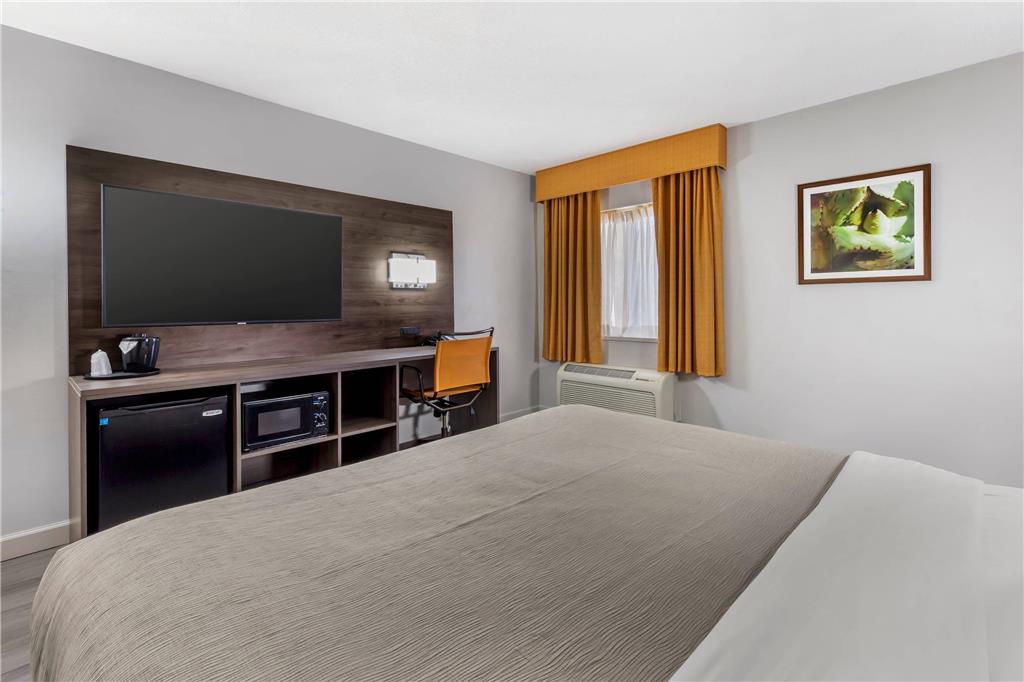 Quality Inn & Suites Raleigh Durham Airport - photo 10