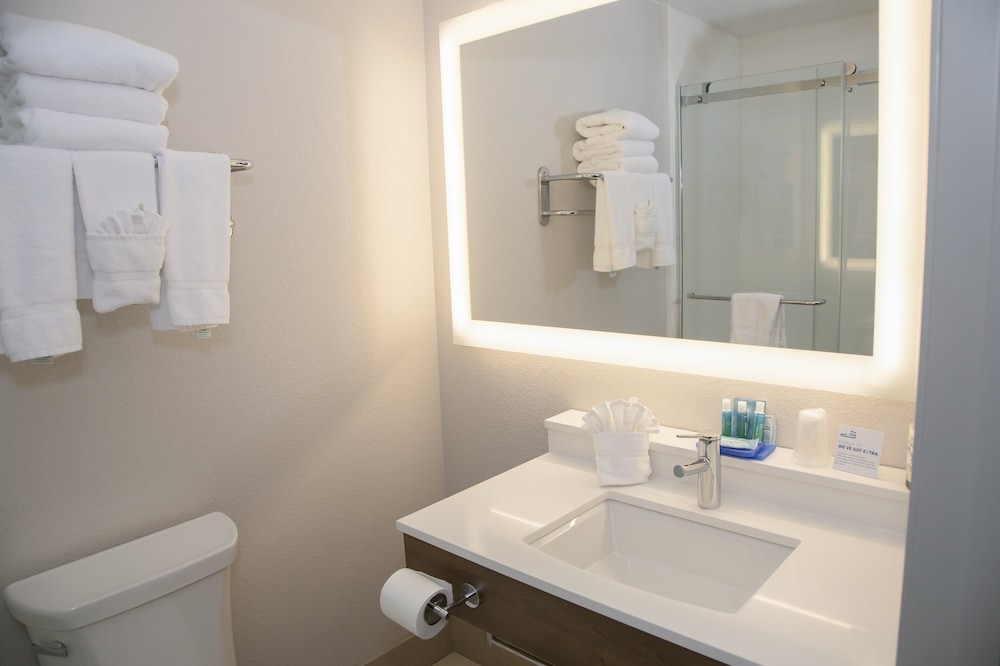Holiday Inn Express & Suites Colorado Springs North by IHG - photo 43