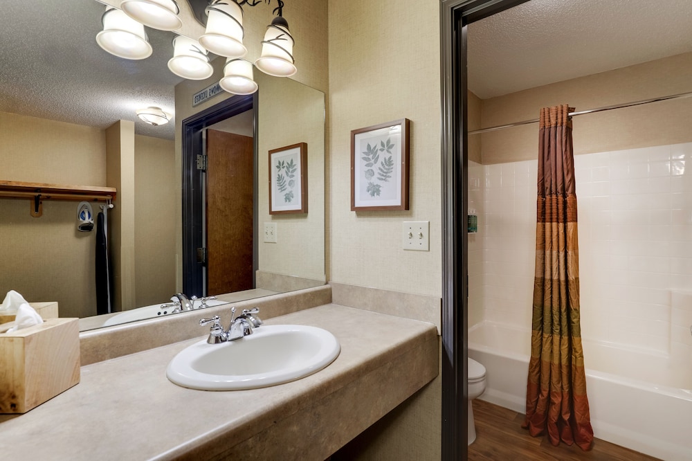 Stoney Creek Hotel Quad Cities Moline - photo 36