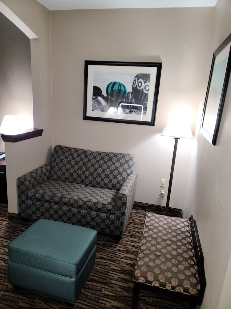 Comfort Suites Plano East Richardson - photo 23