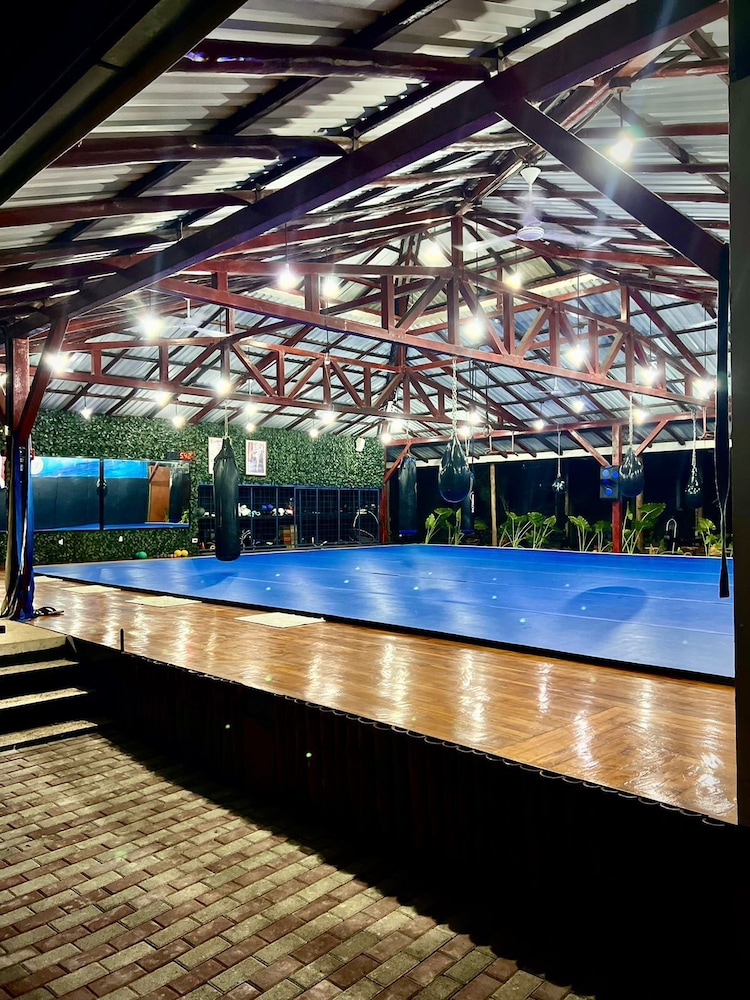 Jungle’s Edge: Jiu Jitsu Muay Thai & Yoga Retreats in Nicoya, Costa Rica