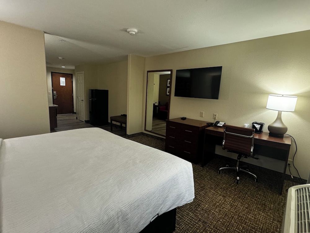 Wingate By Wyndham College Station South - photo 5