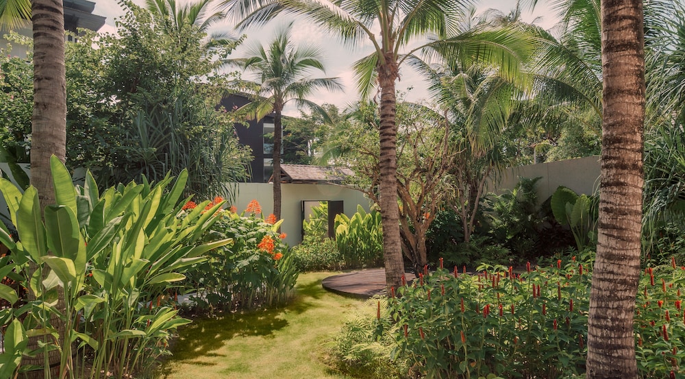 שטחי חוץ / גן